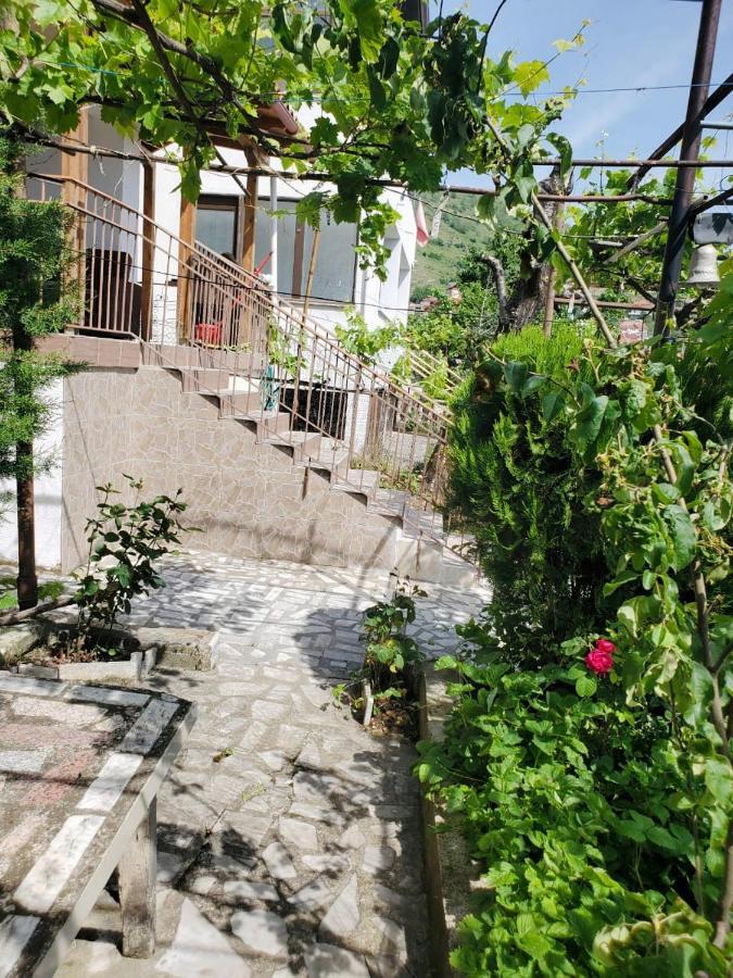 Lake Ohrid Guesthouse "Villa Valentina" Pogradec Extérieur photo