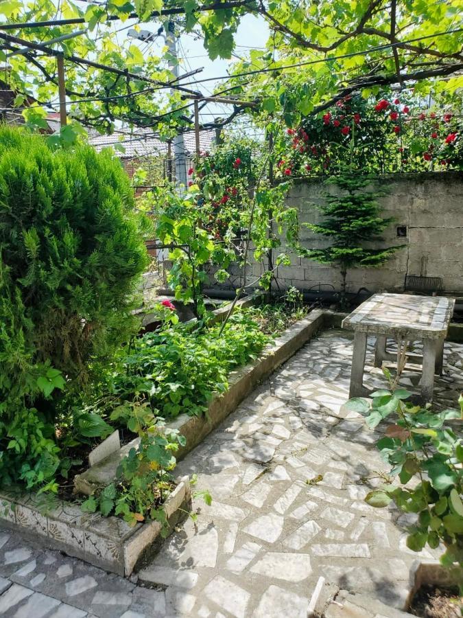 Lake Ohrid Guesthouse "Villa Valentina" Pogradec Extérieur photo